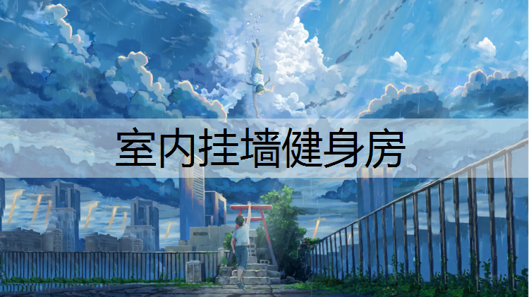 室内挂墙健身房