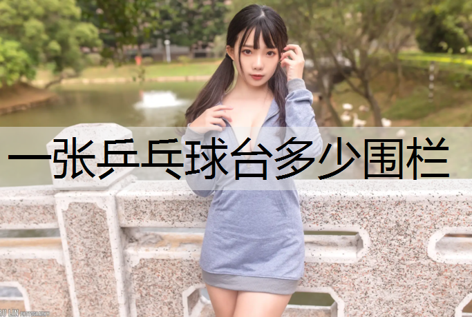 一张乒乓球台多少围栏