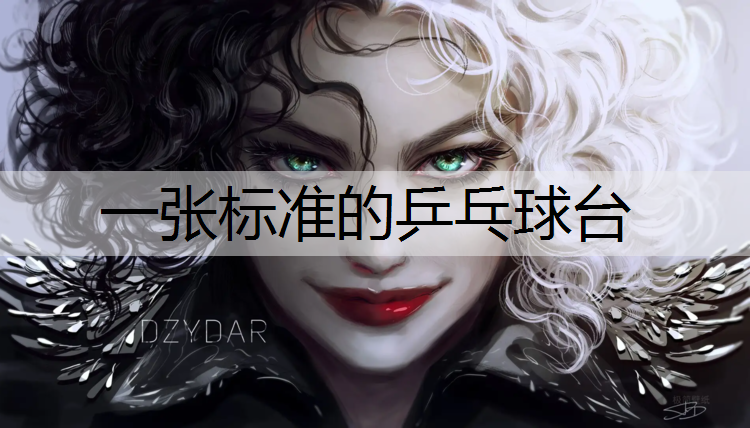 一张标准的乒乓球台