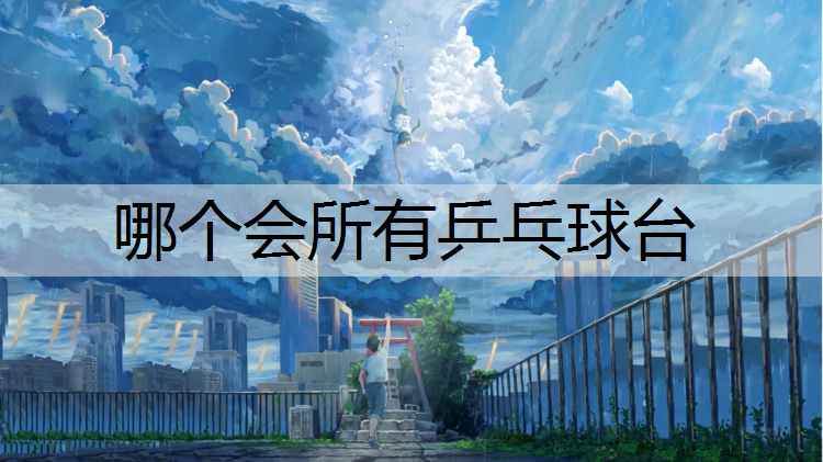 哪个会所有乒乓球台