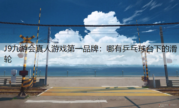 J9九游会真人游戏第一品牌：哪有乒乓球台下的滑轮