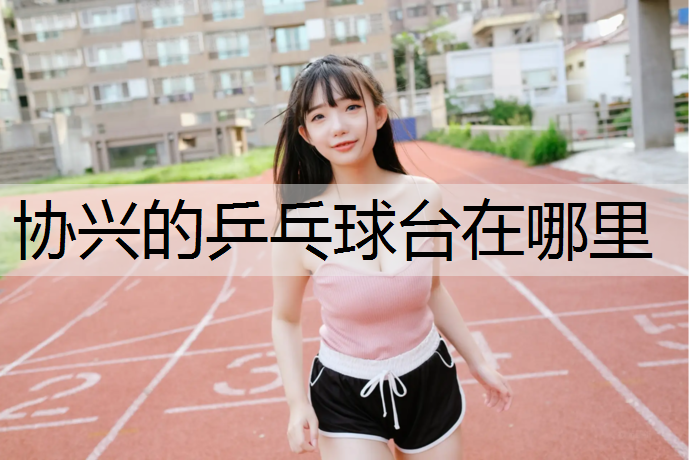 协兴的乒乓球台在哪里