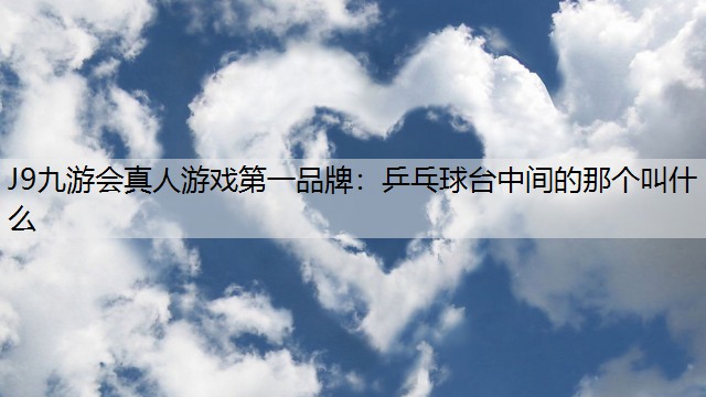 乒乓球台中间的那个叫什么