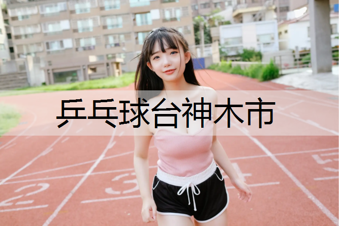 乒乓球台神木市