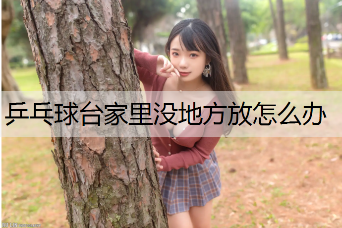 乒乓球台家里没地方放怎么办