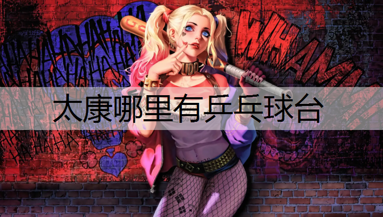 太康哪里有乒乓球台