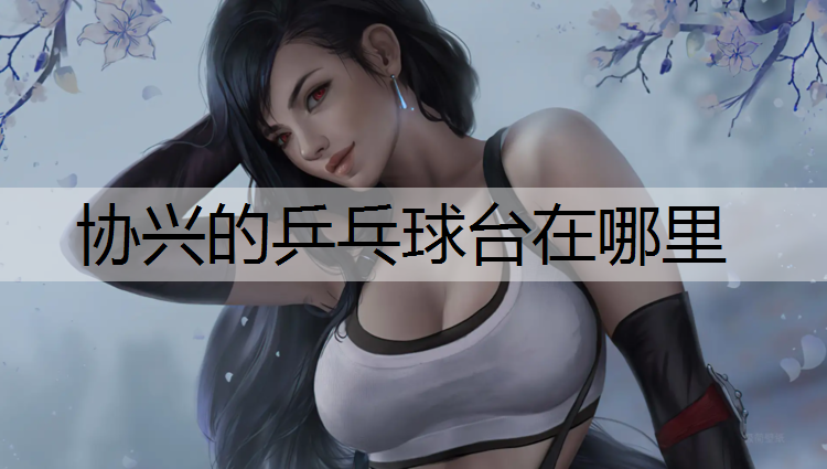 协兴的乒乓球台在哪里