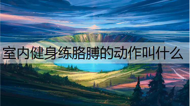 室内健身练胳膊的动作叫什么