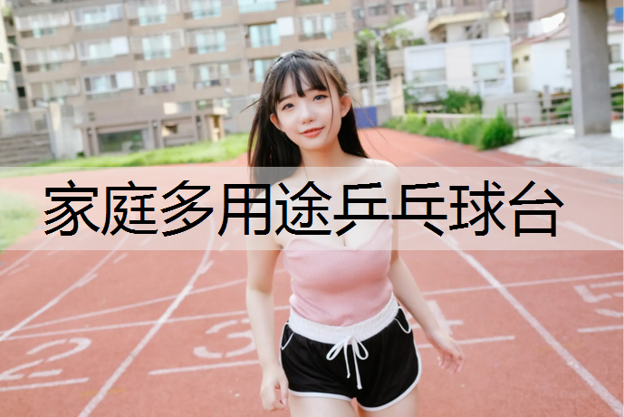 家庭多用途乒乓球台